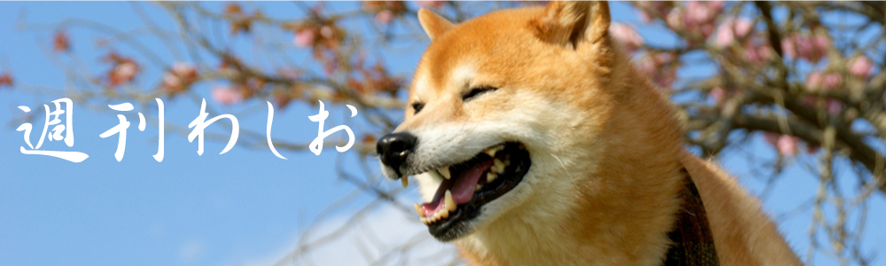 washio