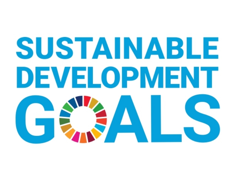 sdgs_logo