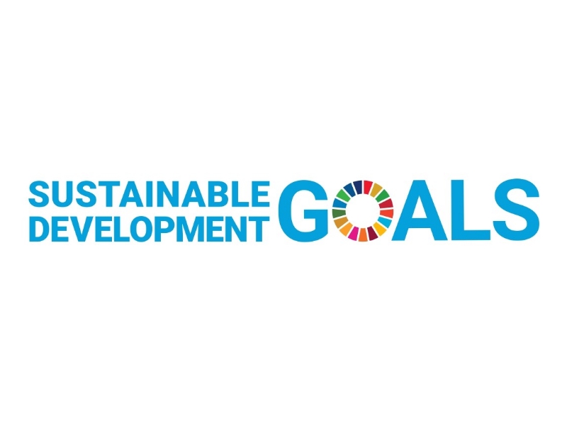 sdgs_logo